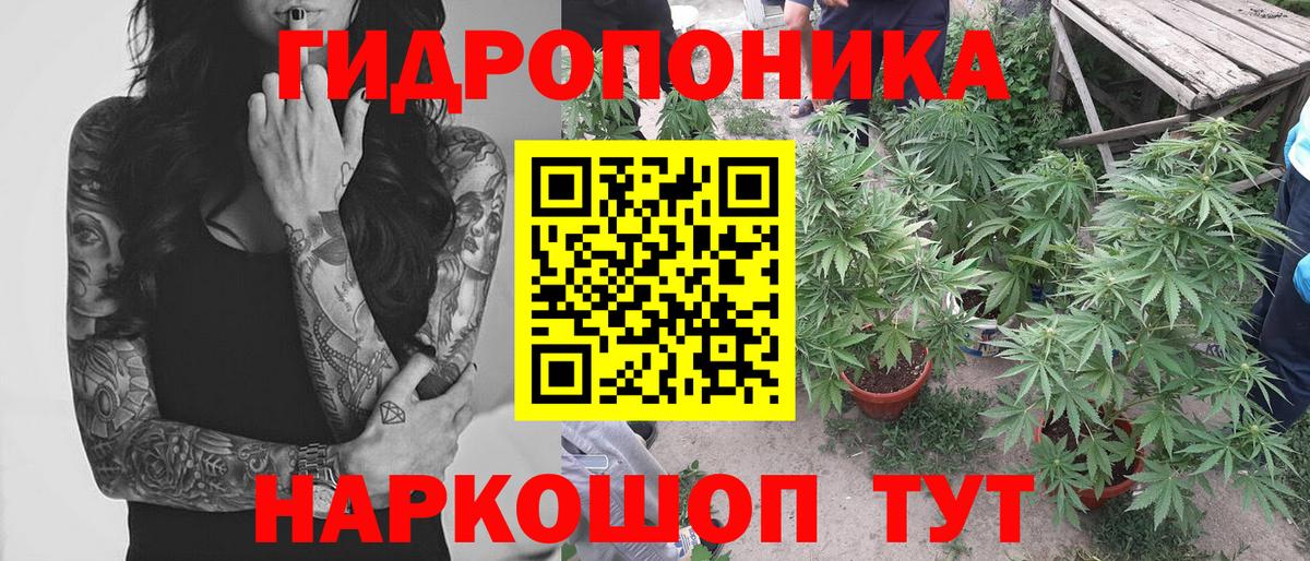 МАРИХУАНА THC 21% Строитель